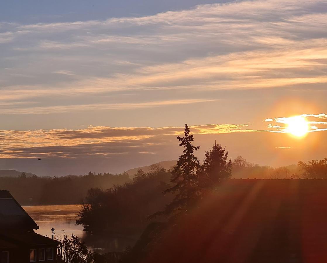 Ferienwohnung Rheinblick In Buesingen -Keine Monteure- Busingen Екстер'єр фото