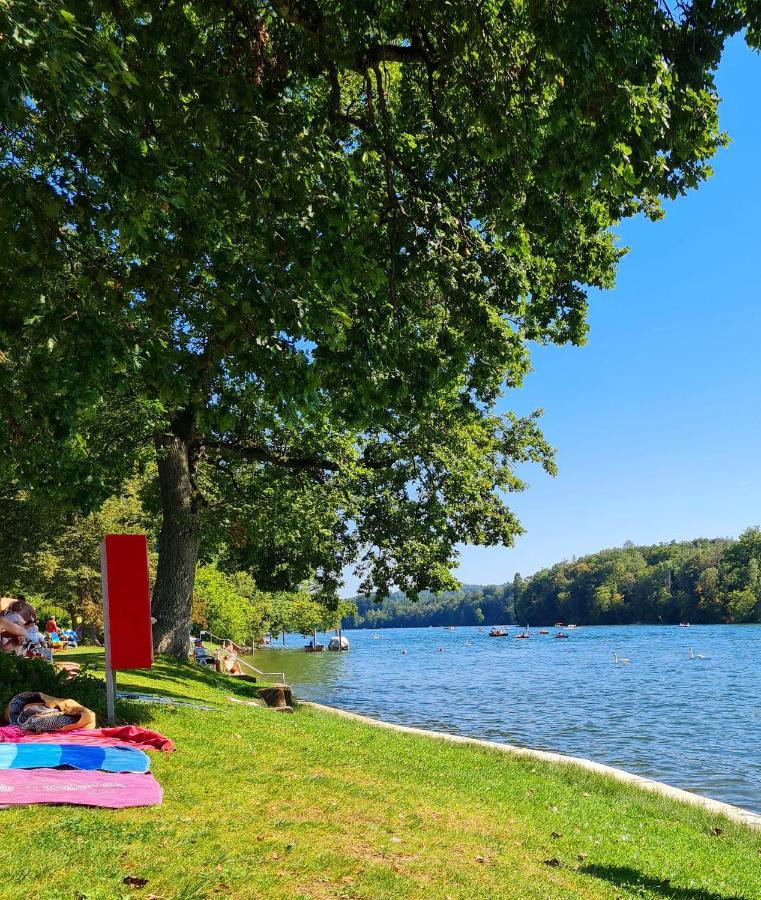 Ferienwohnung Rheinblick In Buesingen -Keine Monteure- Busingen Екстер'єр фото