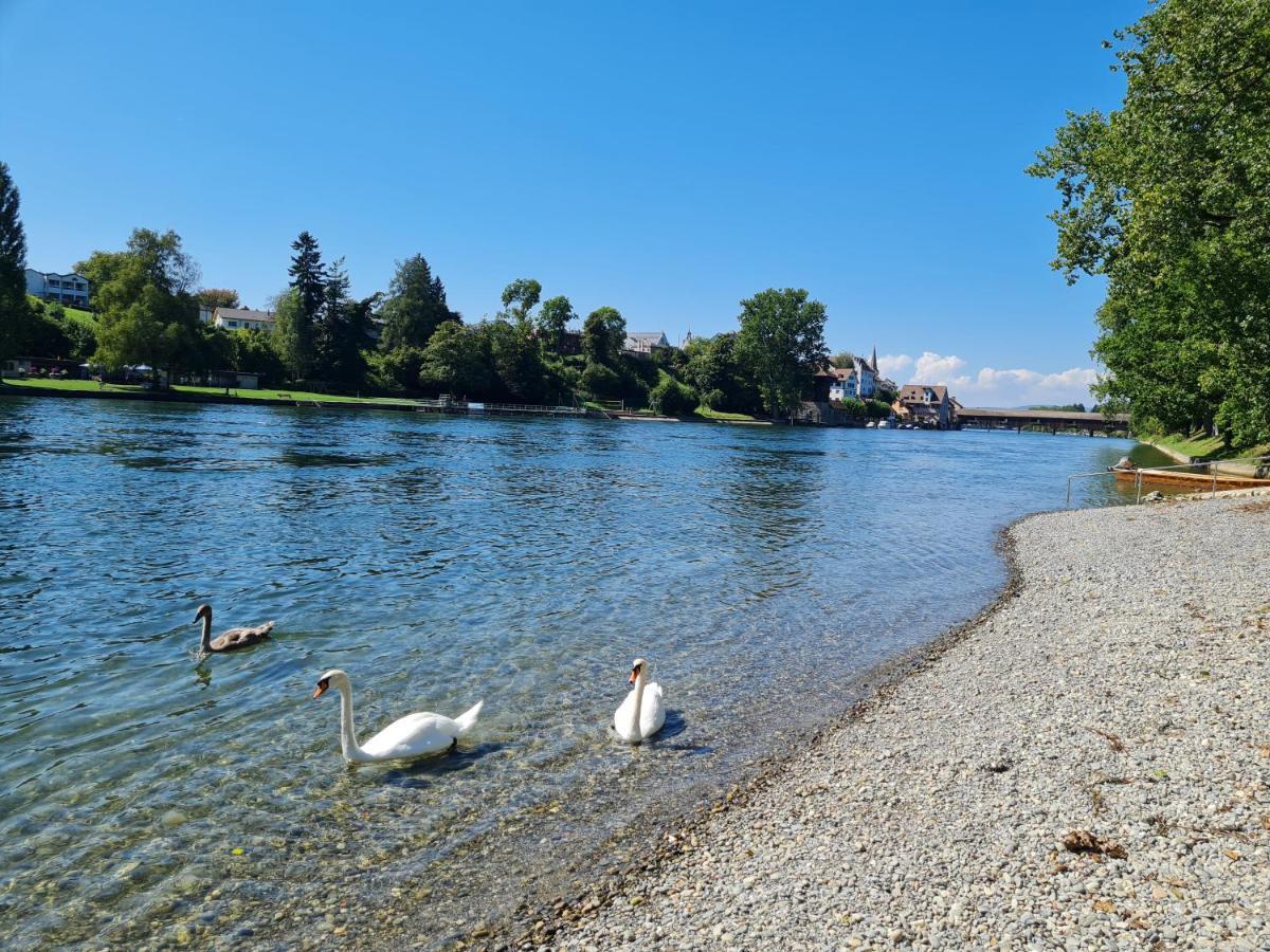 Ferienwohnung Rheinblick In Buesingen -Keine Monteure- Busingen Екстер'єр фото