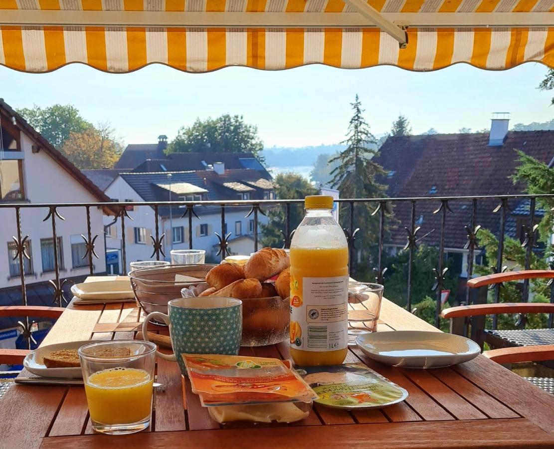 Ferienwohnung Rheinblick In Buesingen -Keine Monteure- Busingen Екстер'єр фото