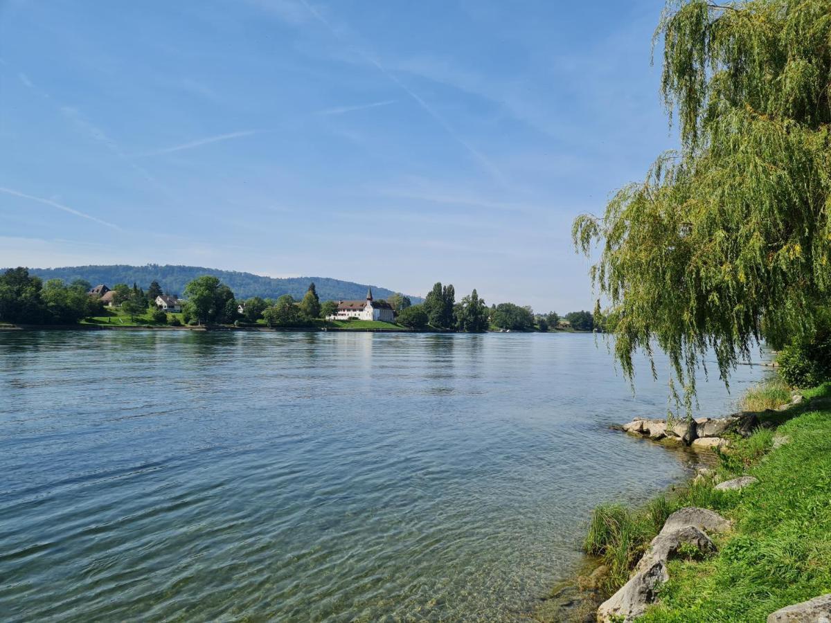 Ferienwohnung Rheinblick In Buesingen -Keine Monteure- Busingen Екстер'єр фото