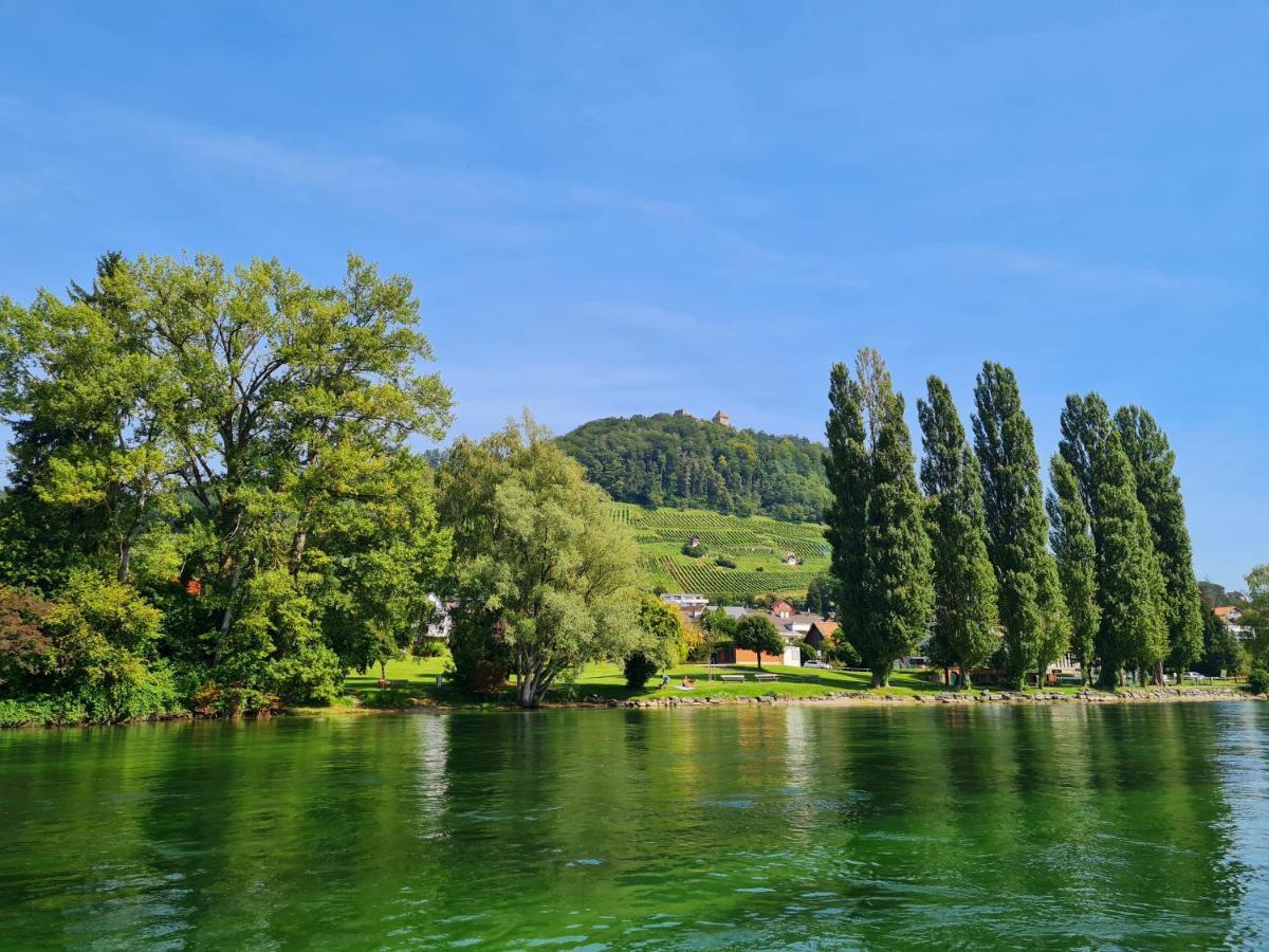 Ferienwohnung Rheinblick In Buesingen -Keine Monteure- Busingen Екстер'єр фото