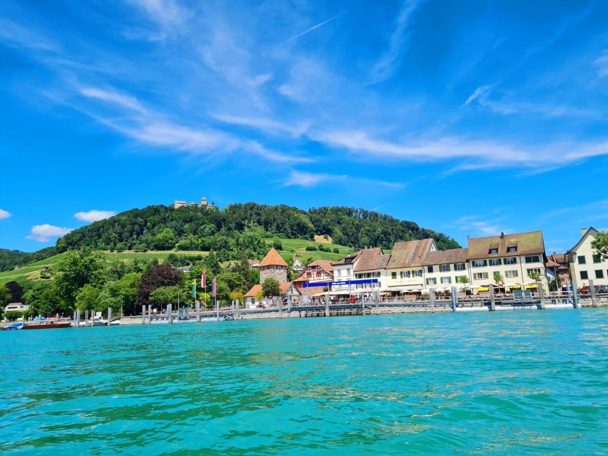 Ferienwohnung Rheinblick In Buesingen -Keine Monteure- Busingen Екстер'єр фото