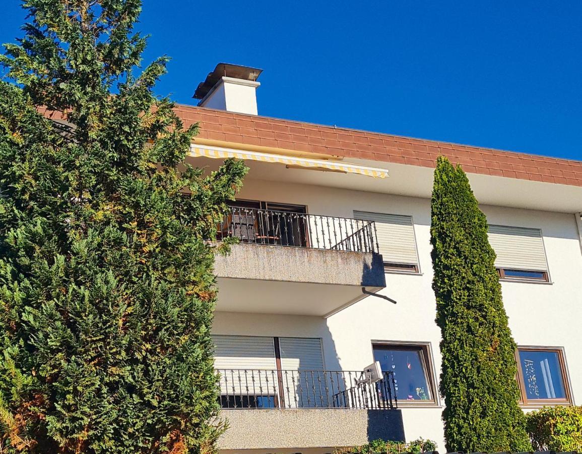 Ferienwohnung Rheinblick In Buesingen -Keine Monteure- Busingen Екстер'єр фото
