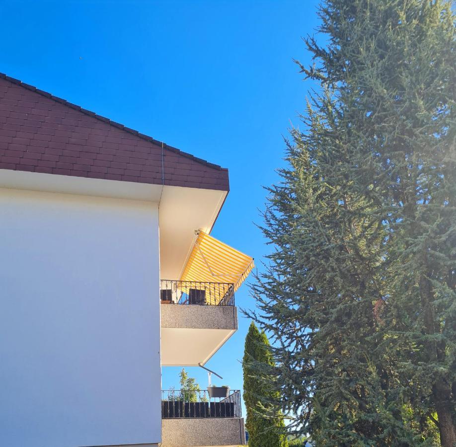 Ferienwohnung Rheinblick In Buesingen -Keine Monteure- Busingen Екстер'єр фото